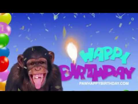 happy-birthday-monkey-greeting-card