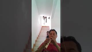 Download Lagu Morning Happiness (Gus Tedja Cover) Bamboo Flute MP3