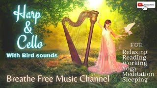 Soft Harp & Cello music with bird sounds for relaxing, reading, sleeping, working, Yoga, meditation screenshot 2