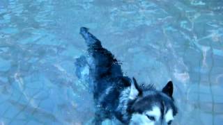 SANY0160.MP4
