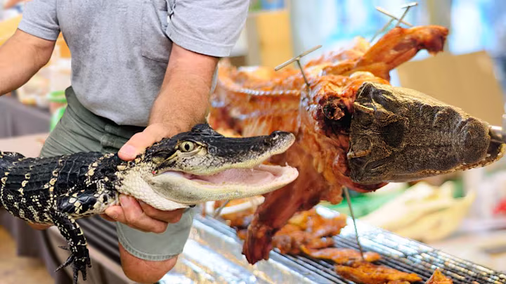 How Do Crocodile Farms Make MILLIONS Every Year?