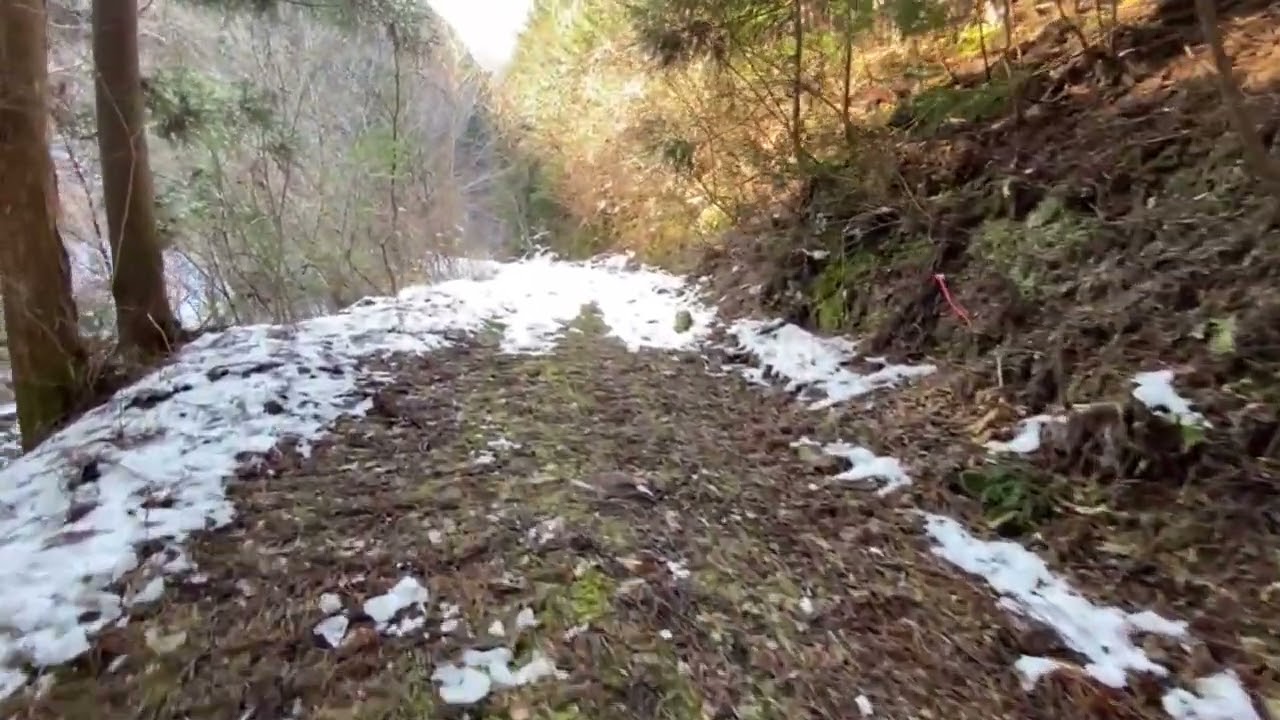 まぼろしの泉ヶ滝探索