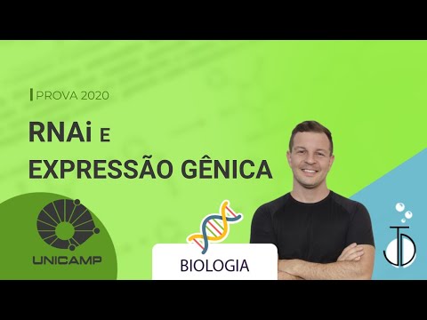 Vídeo: O Papel Do Repressor Da Apoptose Com Um Domínio CARD (ARC) Na Resistência Terapêutica Do Carcinoma De Células Renais (CCR): O Papel Crucial Do ARC Na Inibição Da Sinalização Apoptó