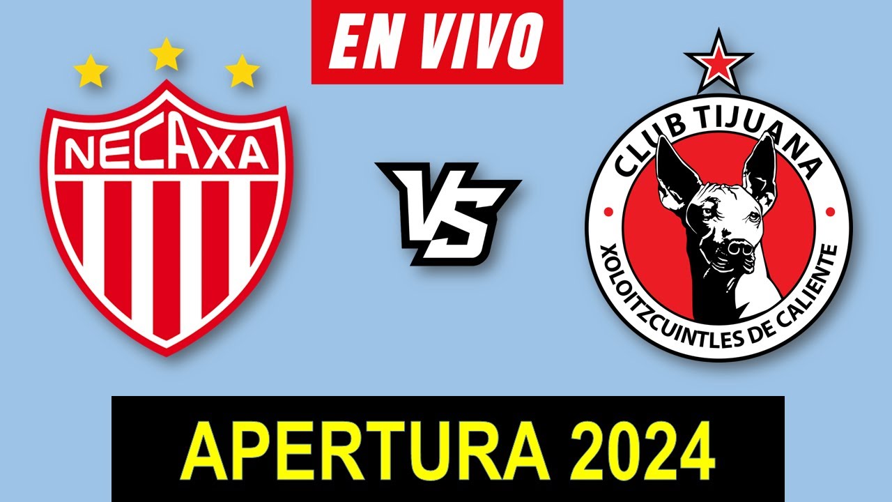 NECAXA VS TIJUANA EN VIVO 🔴 APERTURA 2024 JORNADA 12 LIGA MX ️ HORARIO ...