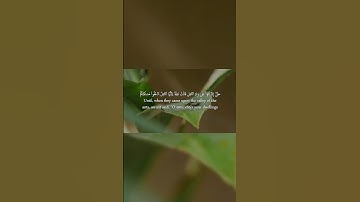 Surat An Naml سورة النمل the quran translated in english