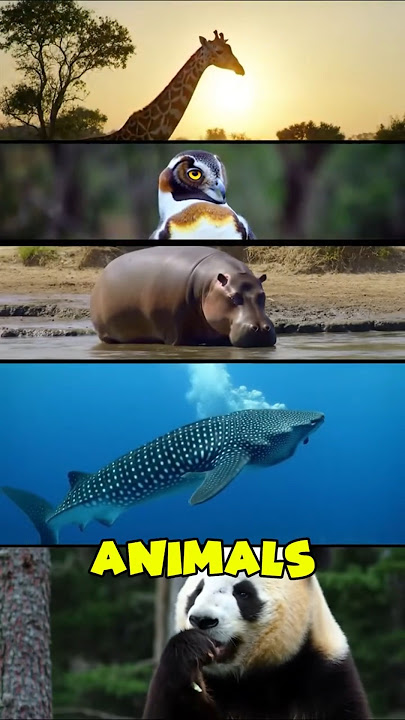You Won’t Believe These Real Animal Facts! #animalfacts#wildlife#facts