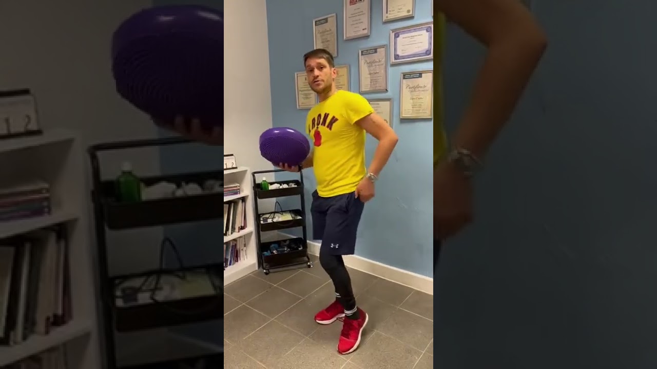 Balance disc - training the central nervous system 