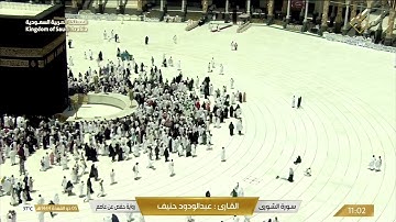 سورة الشورى بصوت القارئ عبدالودود حنيف