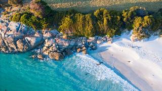 Tropical Paraside Escape - Relaxing Bossa Nova Music & Island Vibes