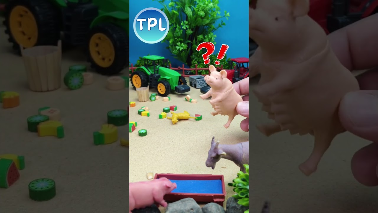 heavy rain ? - lluvia pesada ? 