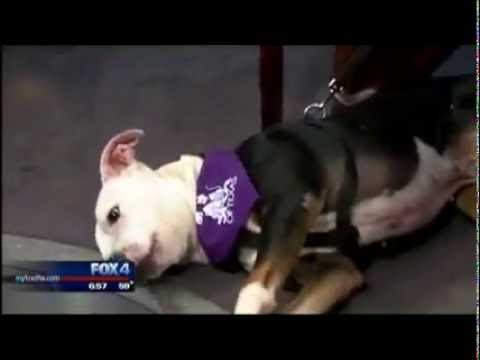 horseshoe bend Murry visits Good Day FOX 4