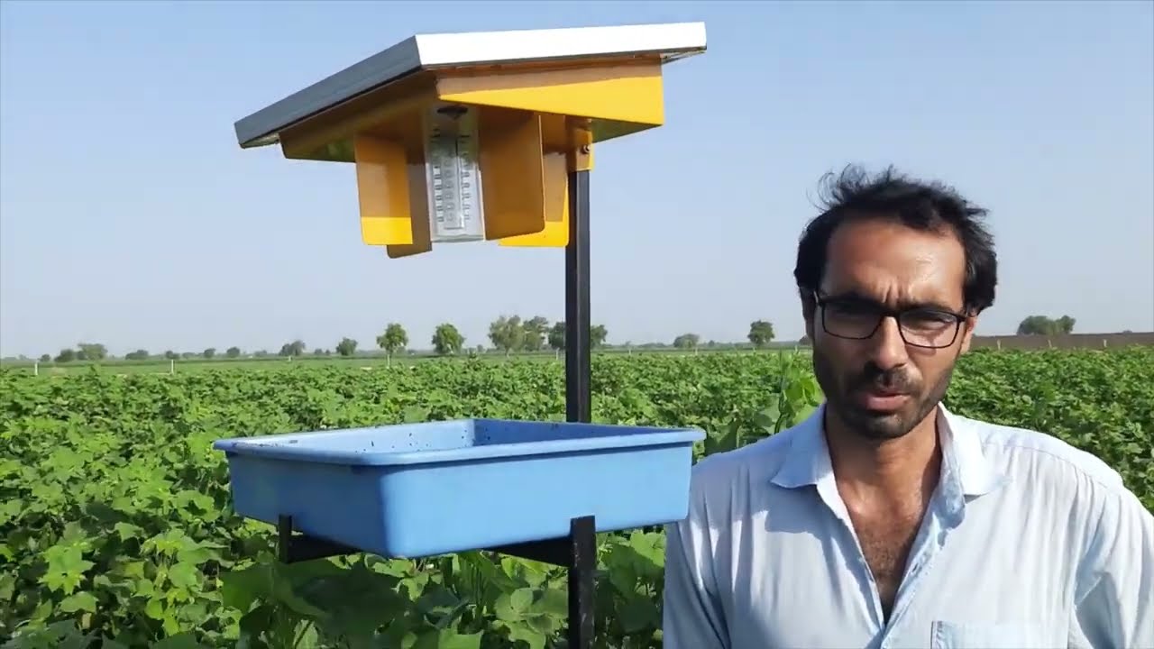 Hectare Solar insect trap 