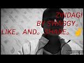 Zindagi by swaggy official music  