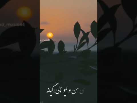 ماموستا محمد ماملی      