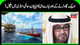 UAE’s Reported OPEC Exit May Flood Markets with Cheaper Oil | UAE OPEC exit | N18G