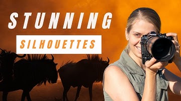 6 Simple Tips For Stunning Silhouettes