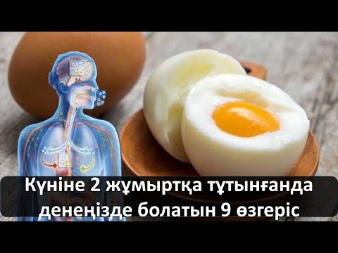 Күніне 2 жұмыртқа тұтынғанда денеңізде болатын 9 өзгеріс