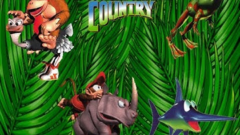 Donkey Kong Country Animal in any level! (DKC Player Archive)