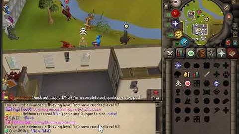 SpawnPk | from scratch #1 | The new beggining!