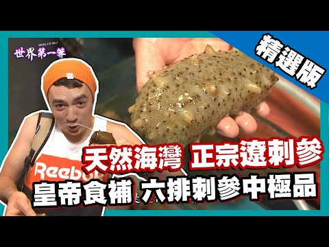 【遼寧】帝王食補 海灣野生遼刺參｜《世界第一等》658集精華版