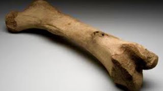 Massive Bone Structure + LRP5 Gene Subliminal