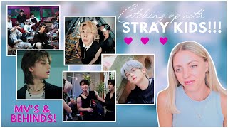 STRAY KIDS REACTION: All MV's + Making Films - Chill | Give Me Your TMI | Super Board | Maxident!