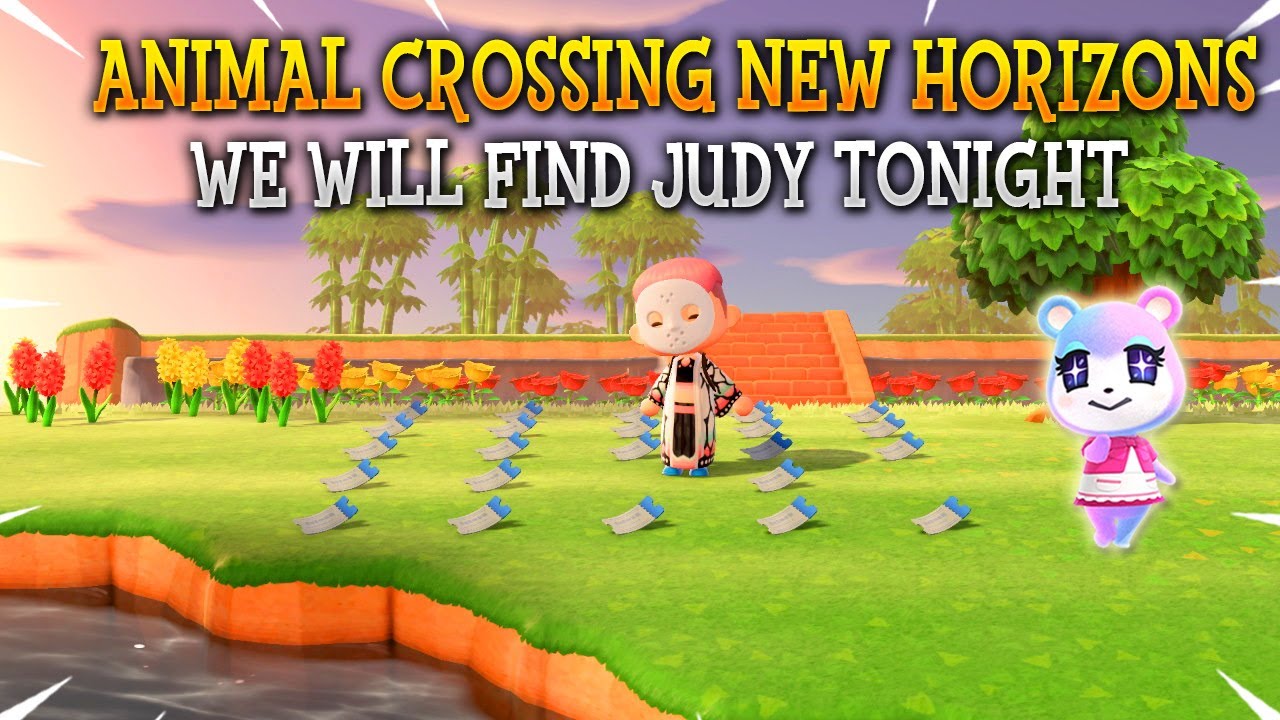 We are Coming for You Judy - Island Tour's Until We Find Her - Animal