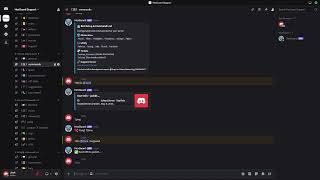 Beginners Guide Discord Moderation Bot (HexGuard)