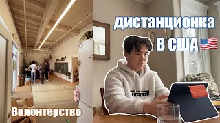 Волонтерство и дистанционка в Америке🇺🇸 | программа FLEX | VLOG#4