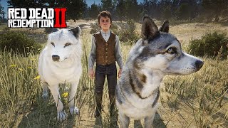 Levei o LOBO BRANCO e o cachorro para caçar na floresta  - Red Dead Redemption 2  -  ep 29