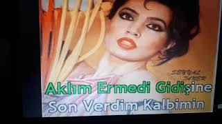 Seyyal Taner-Son Verdim Kalbimin İşine-Karaoke Resimi