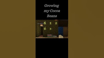 Minecraft Grow your Cocoa Beans in your base #shorts