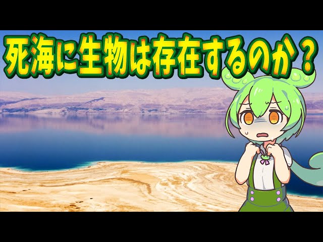 死海の底で見つかった新種の微生物【ずんだもん解説】