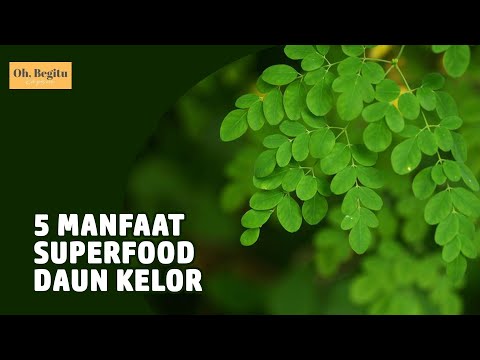 Keterangan Daun Kelor