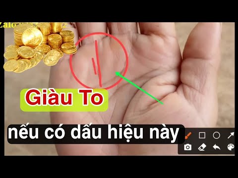 Giàu To Nếu Sở Hữu Chỉ Tay Này, Phú Quý 3 Đời, Xem chỉ tay / Zalo 0766623979