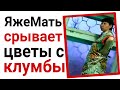 Яжемать срывает цветы с клумбы. Яжемать истории