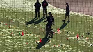 2021 PSA National Championship Lana obedience