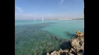 Playa de Ses Covetes