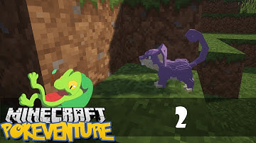 LittleLizard Pixelmon Server Let