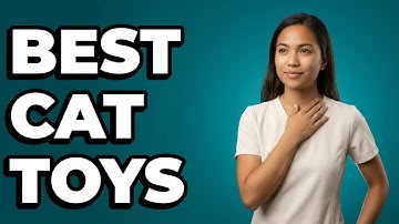 What Are Appropriate Cat Toys for Interactive Play?