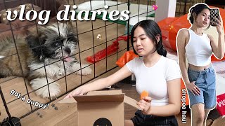 [ vlog diaries ] Finally a furmom! 🐾 Shopee accessories &amp; cleaning stuff haul ft. yesstyle