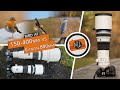 Olympus 150-400mm Pro Review (vs Canon 800mm) + Bird Detection AF Review