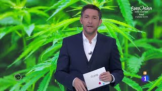 Legalizacion De La Marihuana Cannabis En España. Las Claves.