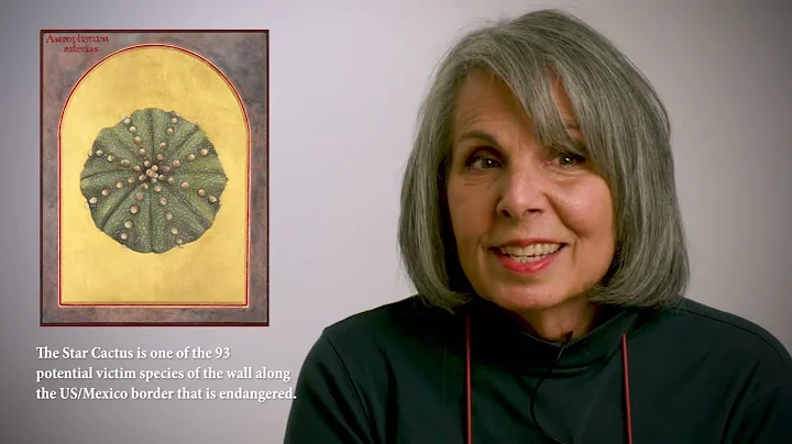 Angela Manno  - Contemporary Icons of Threatened a...