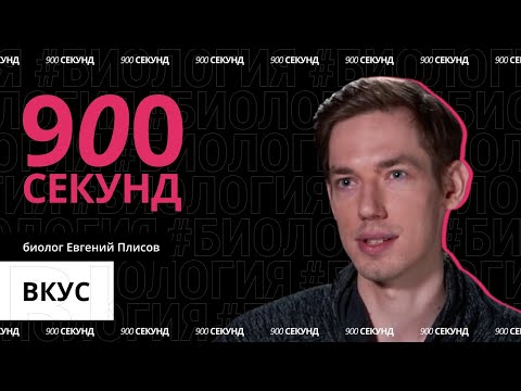 Что такое вкус? Сколько их? И зачем распознавать вкусы? Узнай за 900 секунд