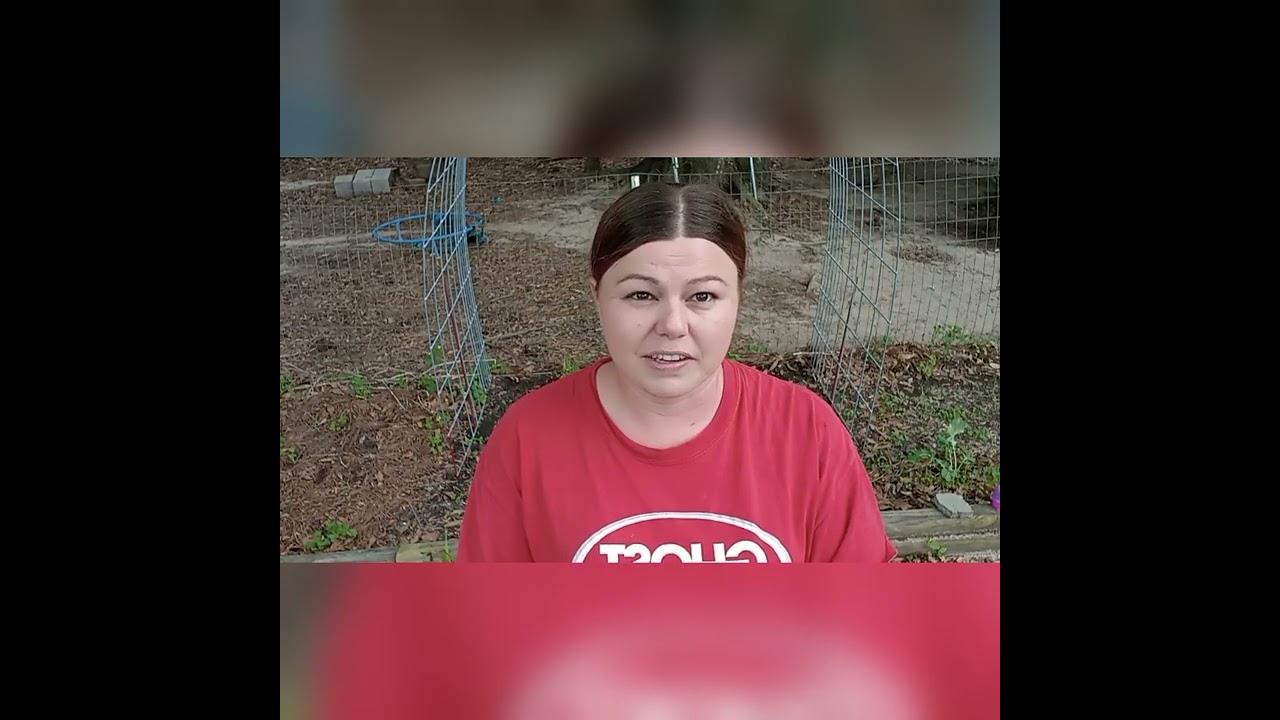 Breaking down Compost and feeding pigs