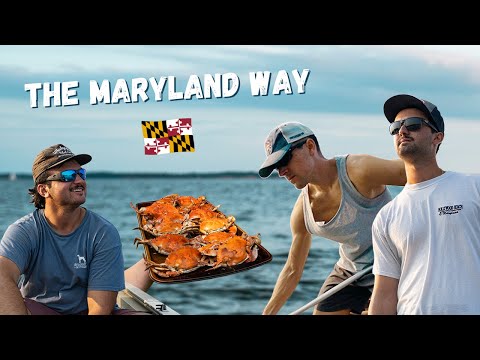 Catching, Cooking and Eating Maryland Blue Crabs on the Eastern Shore — Ocean City, Maryland Catching, Cooking and Eating Maryland Blue Crabs on the Eastern Shore — Ocean City, Maryland