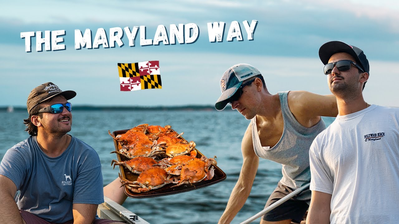 Catching, Cooking and Eating Maryland Blue Crabs on the Eastern Shore