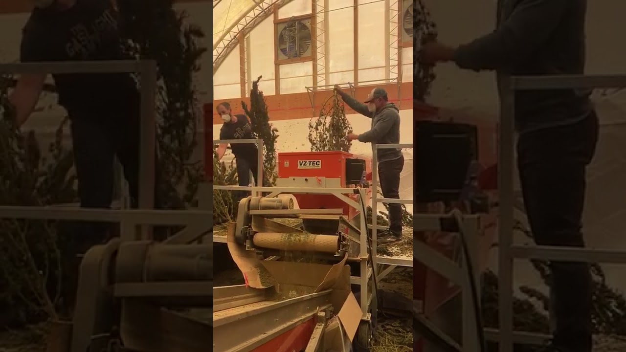 Hemp Bucking 2020 with vz-tec