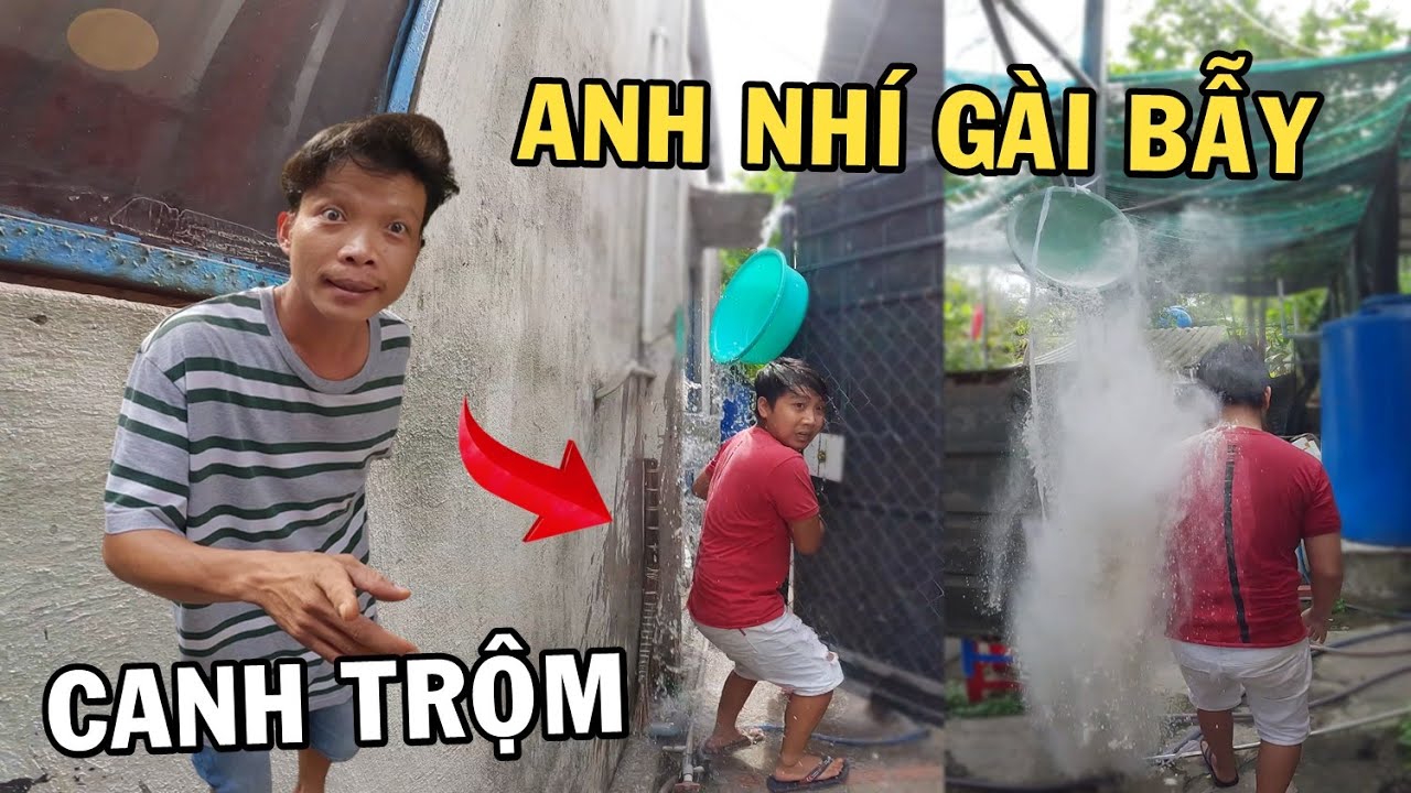 Ông Tư dính hệ thống Bẫy Chống Trộm độc đáo của ông chủ trại cá Betta